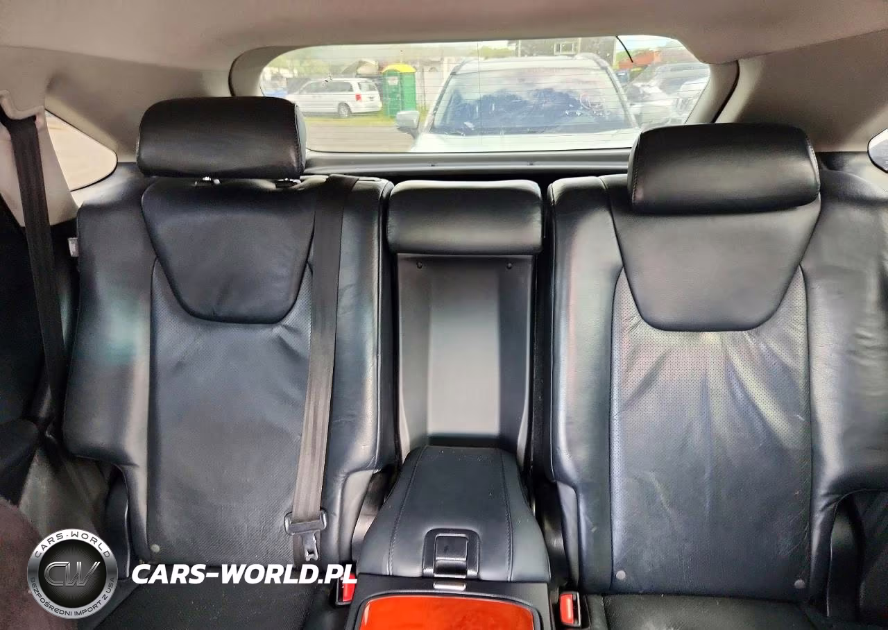 2010 Lexus Rx 350 VIN:JTJZK1BA8A2404051 - 10