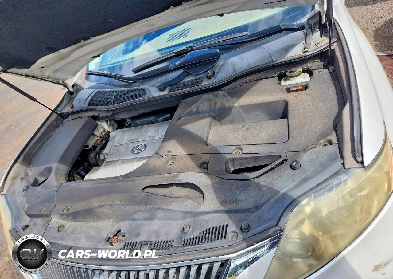2010 Lexus Rx 350 VIN:JTJZK1BA8A2404051 - 12