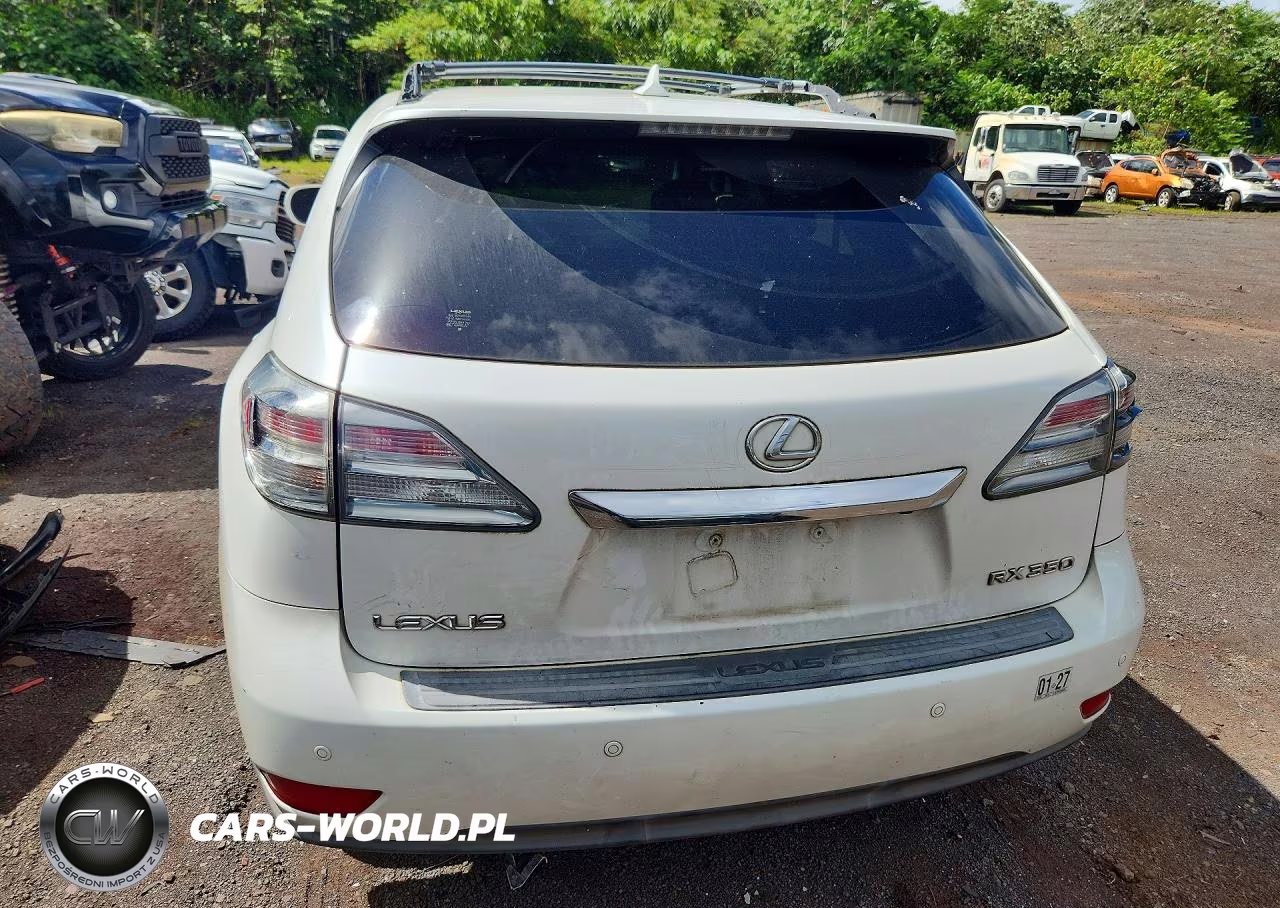 2010 Lexus Rx 350 VIN:JTJZK1BA8A2404051 - 6