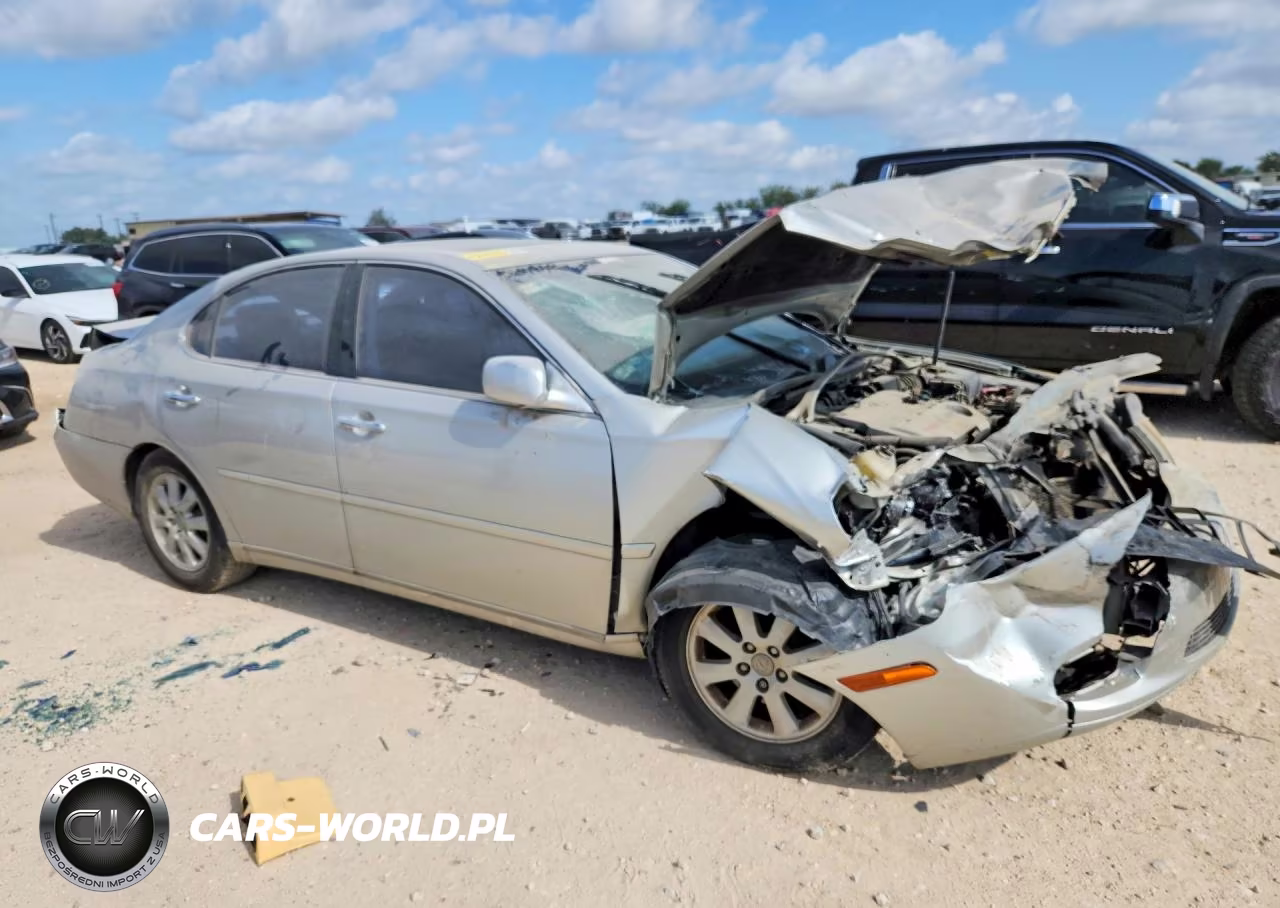 2002 Lexus Es 300 VIN:JTHBF30G125024060 - 4