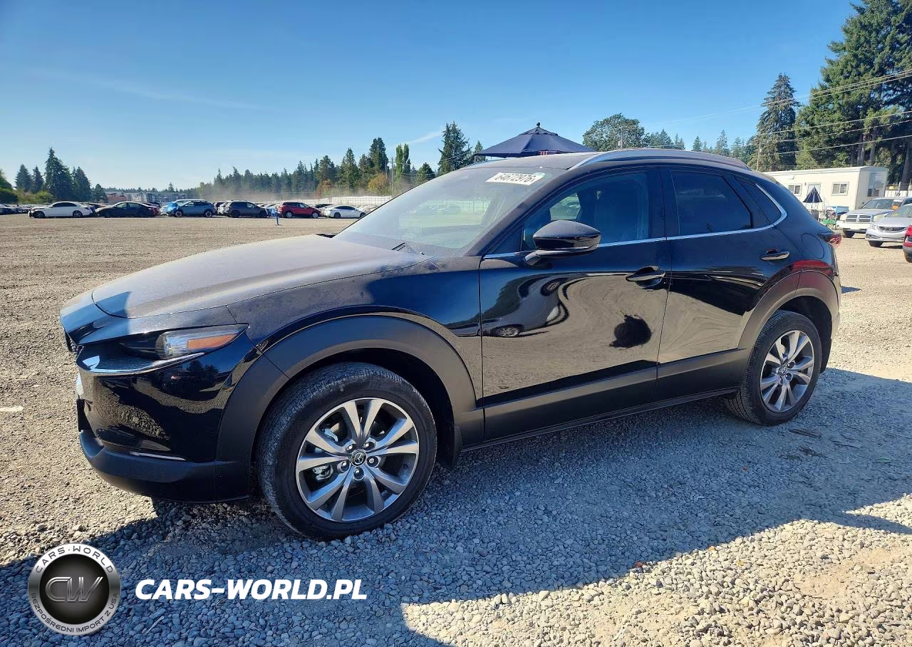 2025 Mazda Cx-30 Preferred VIN:3MVDMBCM3SM796466 - 1