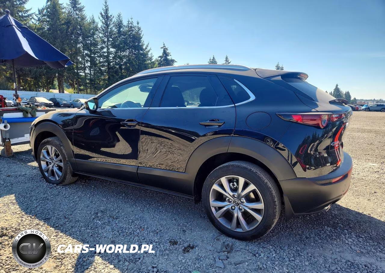 2025 Mazda Cx-30 Preferred VIN:3MVDMBCM3SM796466 - 2