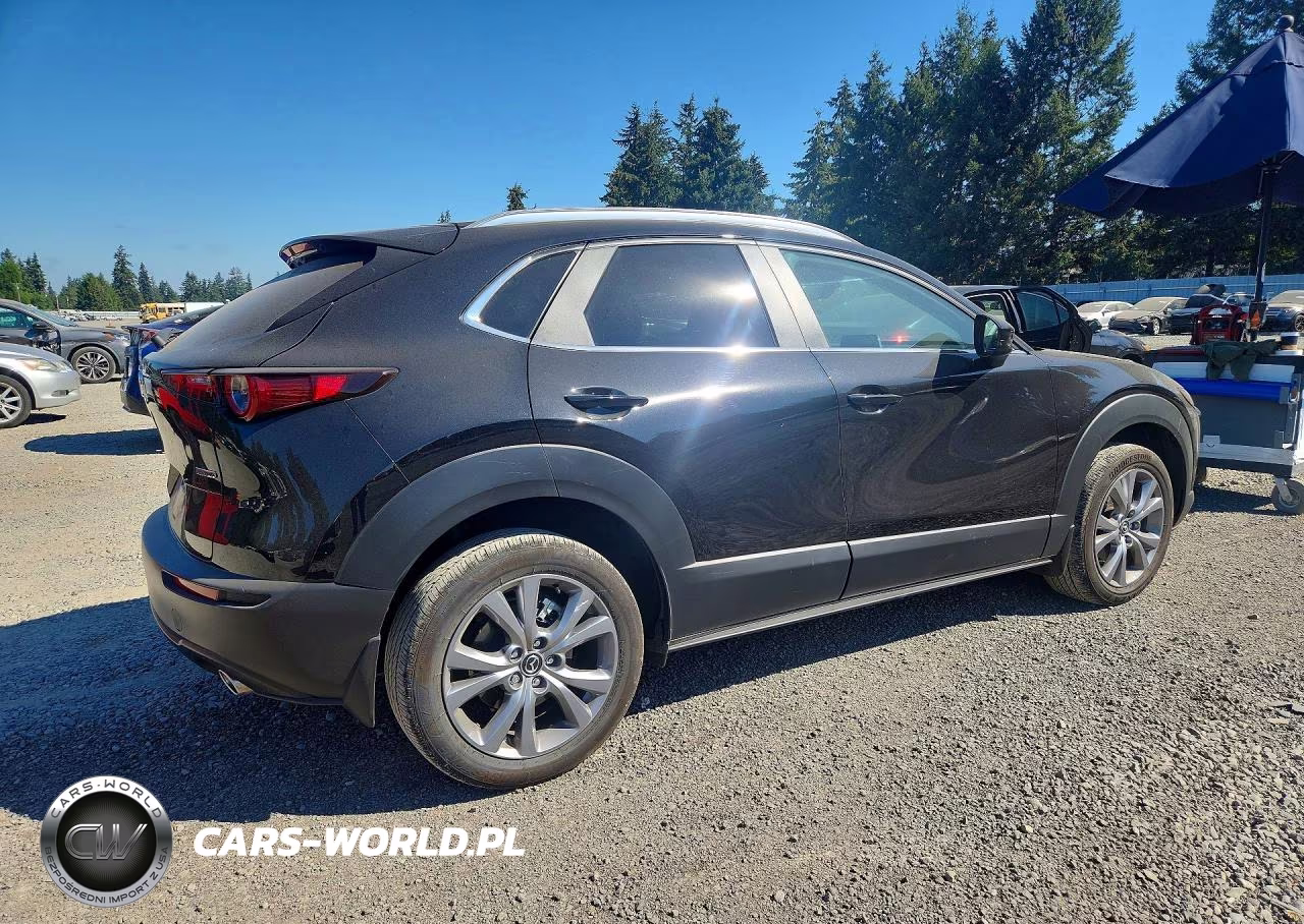 2025 Mazda Cx-30 Preferred VIN:3MVDMBCM3SM796466 - 3
