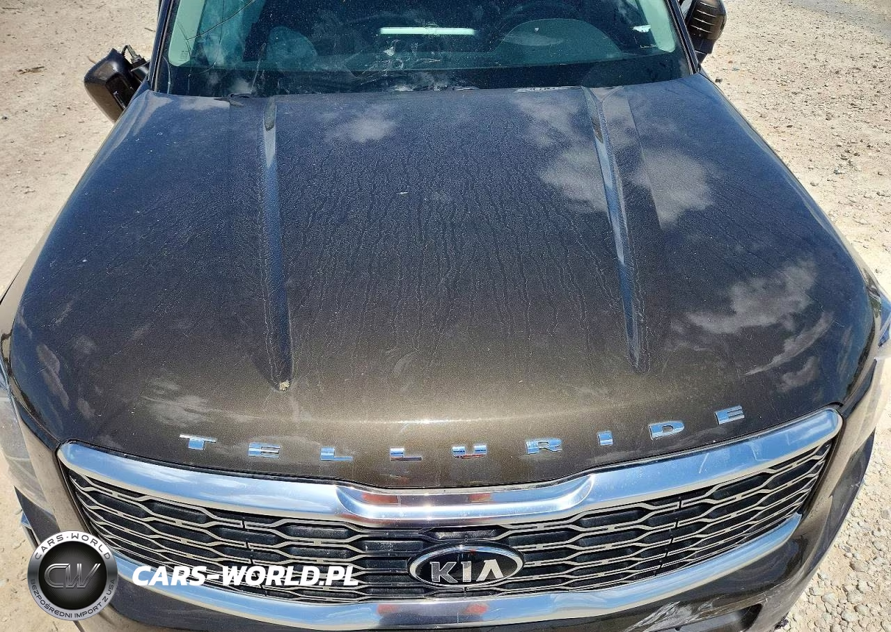 2021 Kia Telluride Ex VIN:5XYP34HCXMG126443 - 12