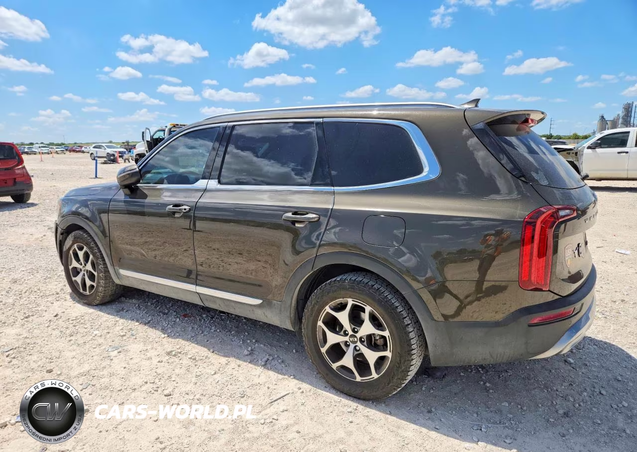 2021 Kia Telluride Ex VIN:5XYP34HCXMG126443 - 2