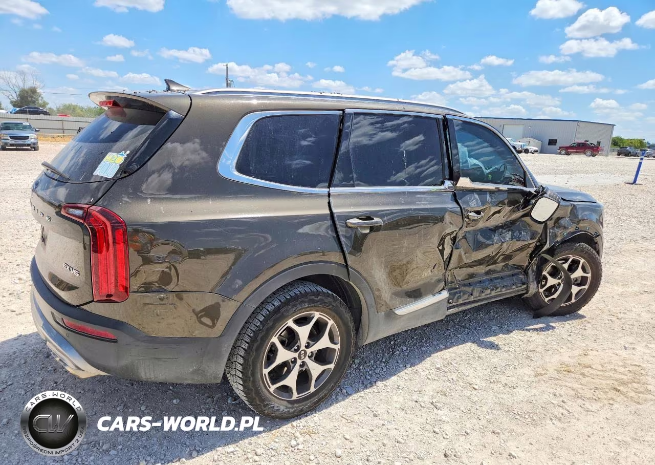 2021 Kia Telluride Ex VIN:5XYP34HCXMG126443 - 3