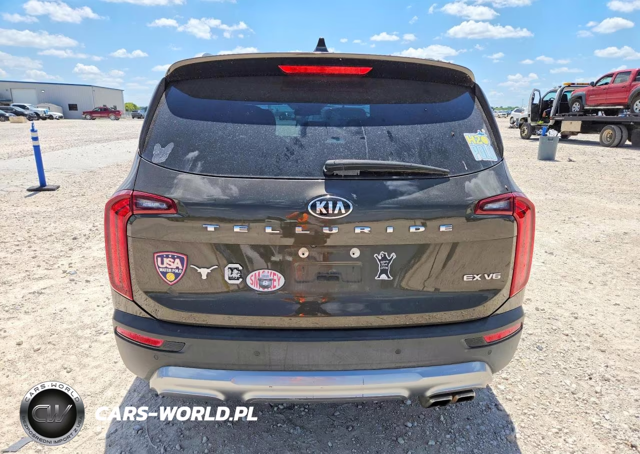 2021 Kia Telluride Ex VIN:5XYP34HCXMG126443 - 6
