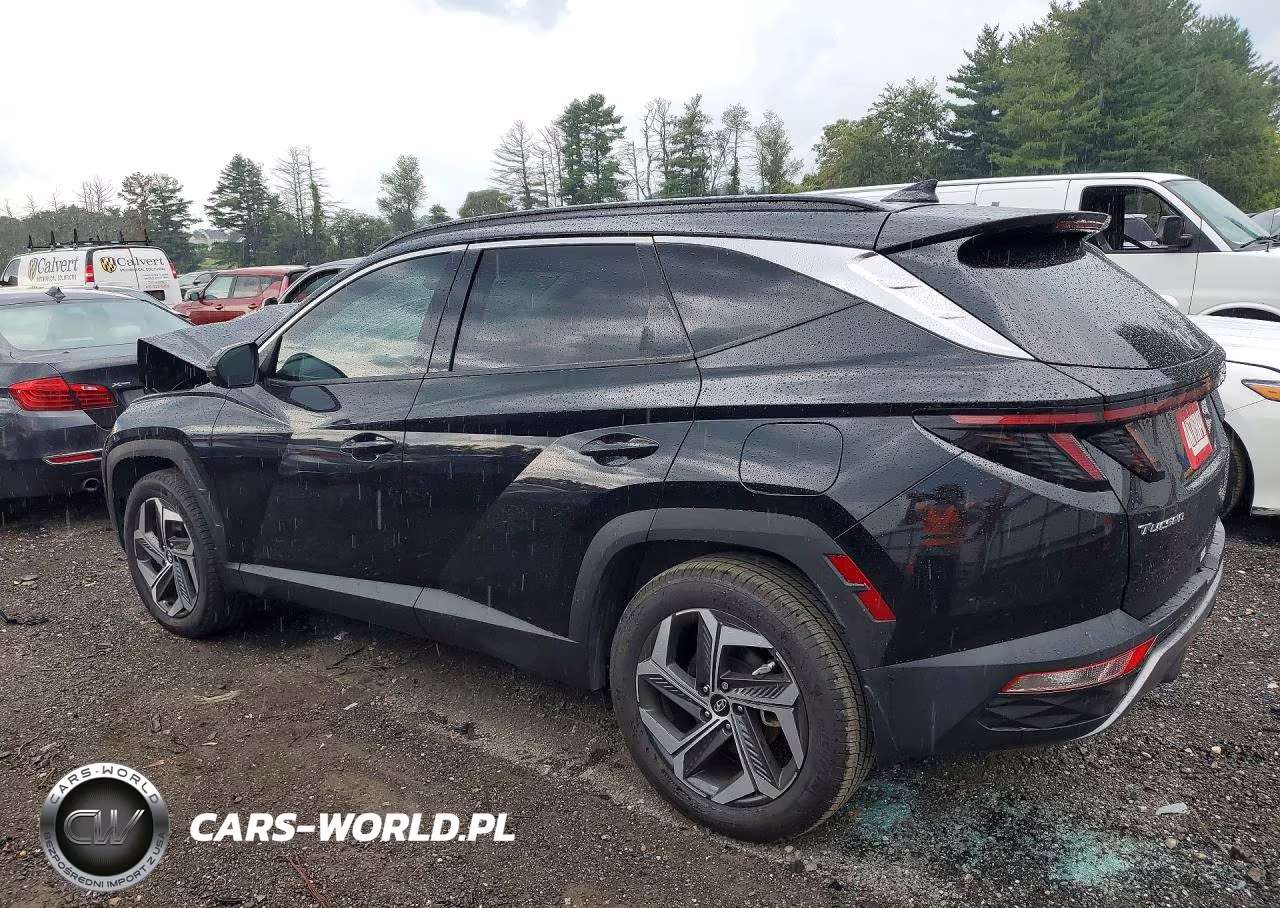 2024 Hyundai Tucson Limited VIN:5NMJECDE9RH331332 - 2