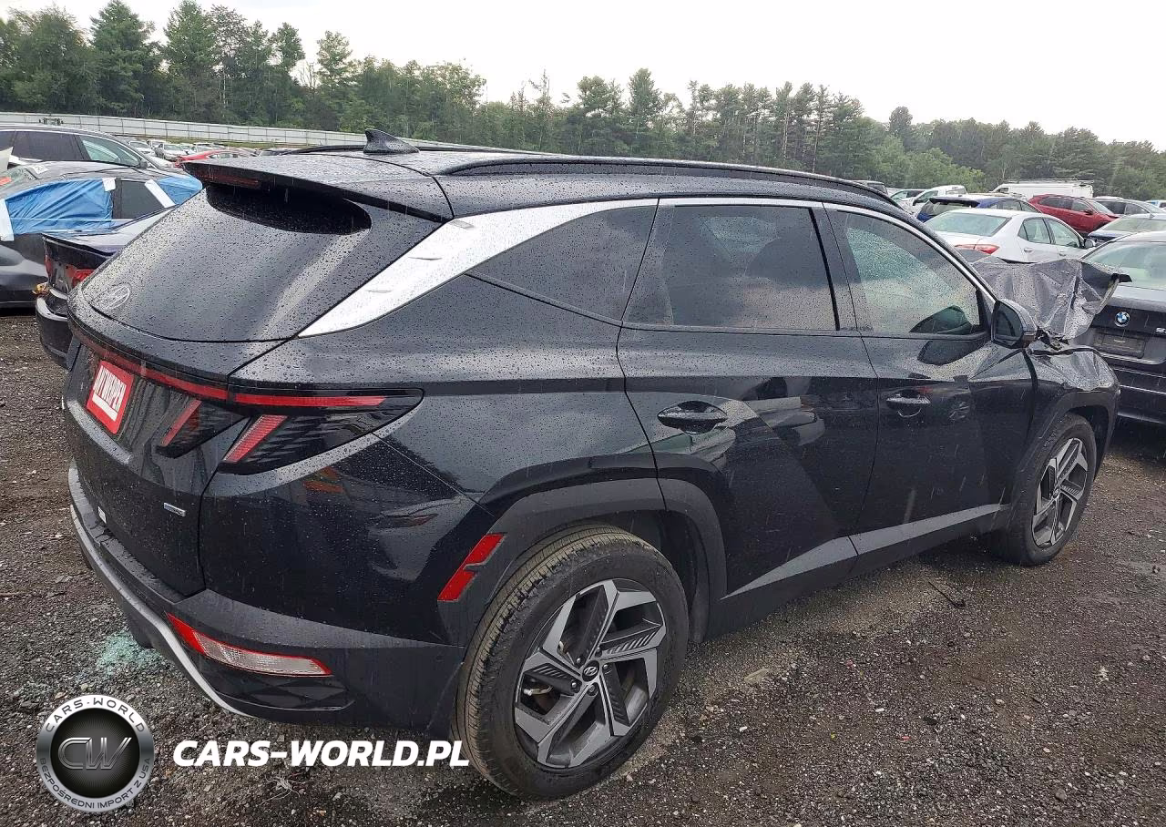 2024 Hyundai Tucson Limited VIN:5NMJECDE9RH331332 - 3