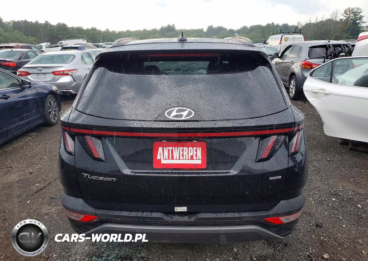 2024 Hyundai Tucson Limited VIN:5NMJECDE9RH331332 - 6