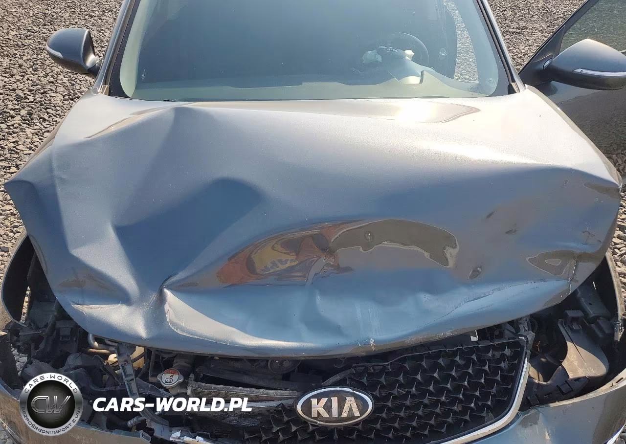2015 Kia Sportage Lx VIN:KNDPBCAC9F7713871 - 12