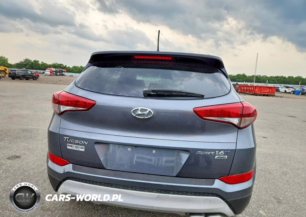 2017 Hyundai Tucson Sport VIN:KM8J3CA26HU272873 - 6