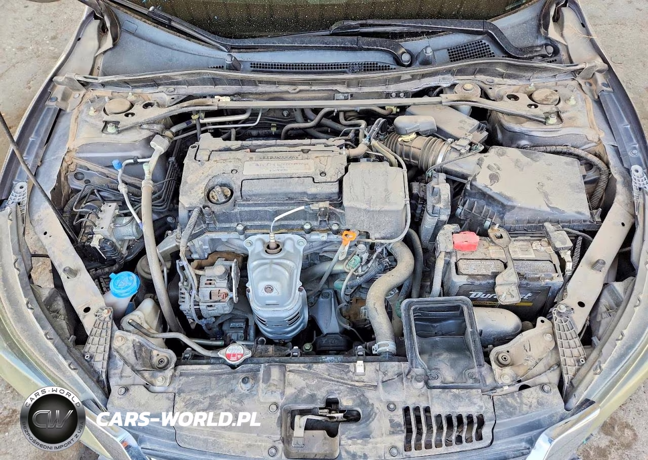 2014 Honda Accord Exl VIN:1HGCR2F83EA012416 - 11