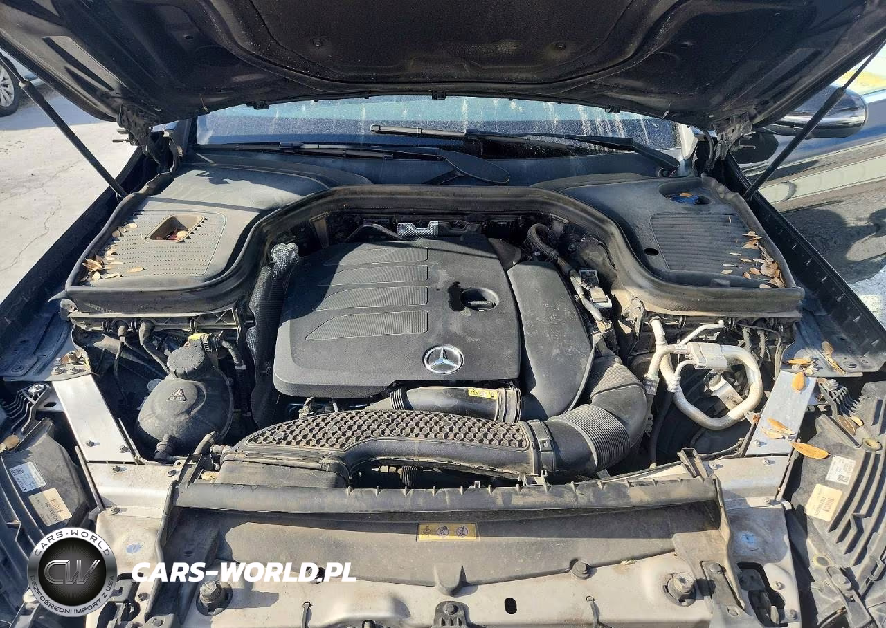 2020 Mercedes-Benz Glc 300 VIN:W1N0G8DB9LF864786 - 12