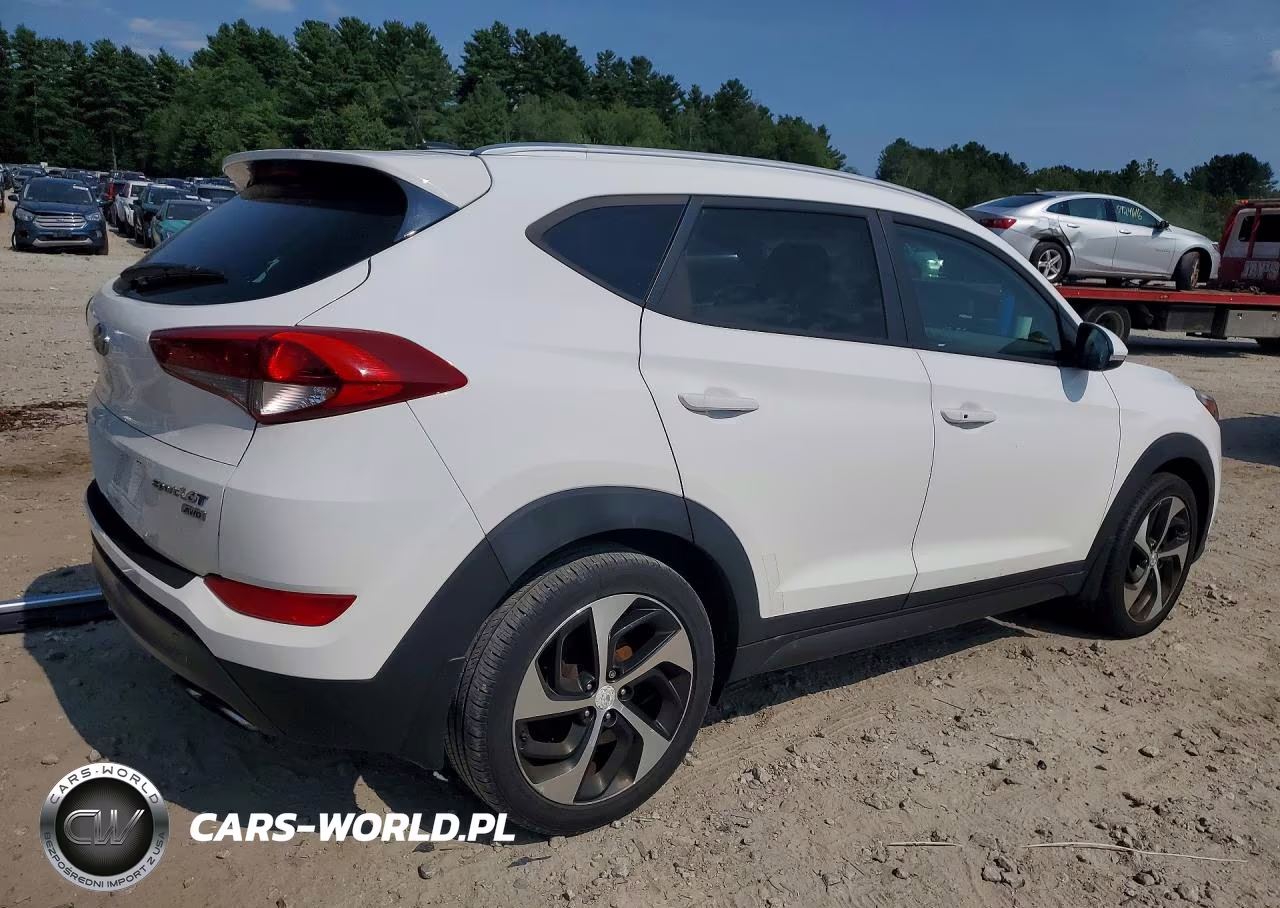 2016 Hyundai Tucson Sport VIN:KM8J3CA22GU043315 - 3