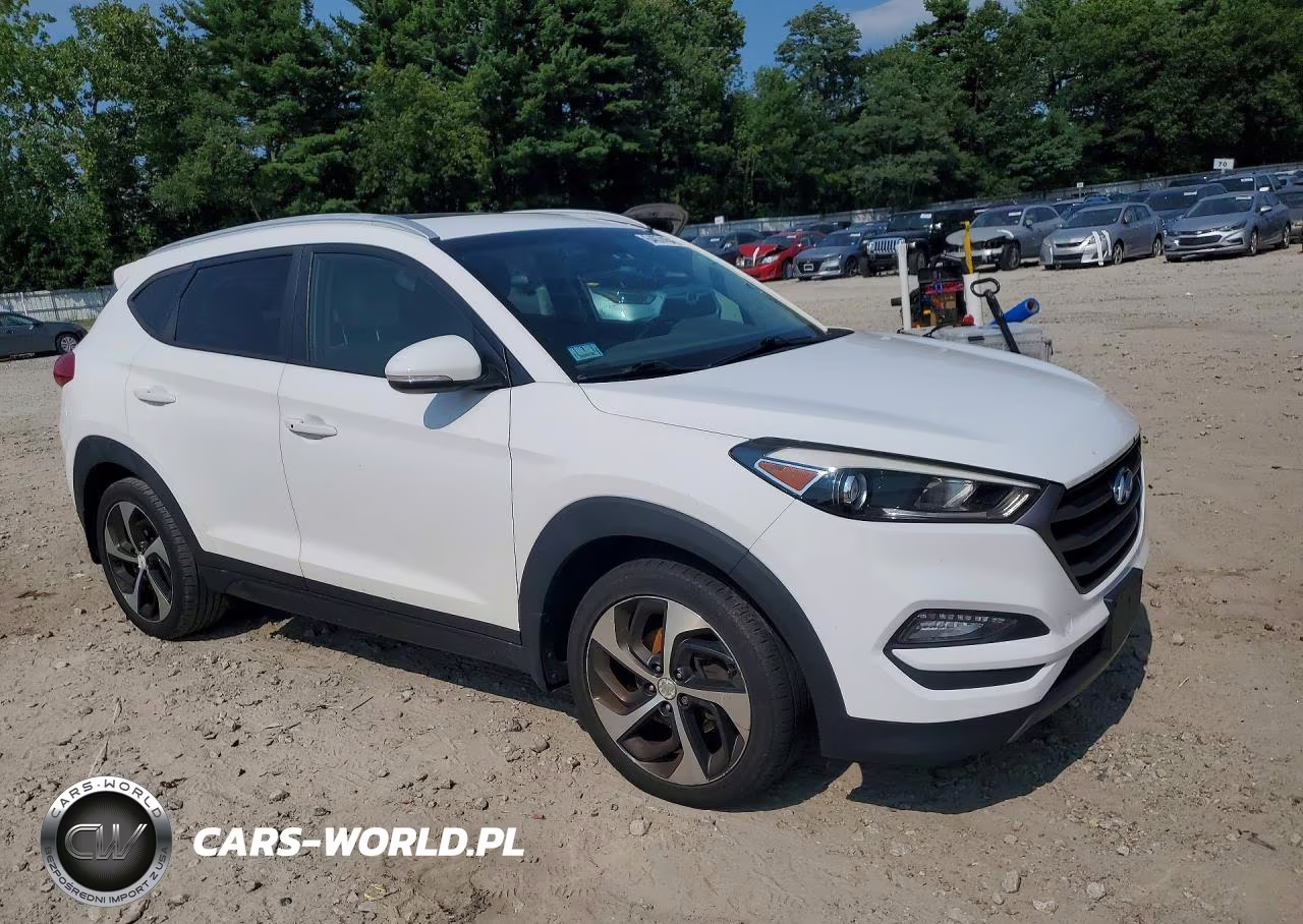 2016 Hyundai Tucson Sport VIN:KM8J3CA22GU043315 - 4