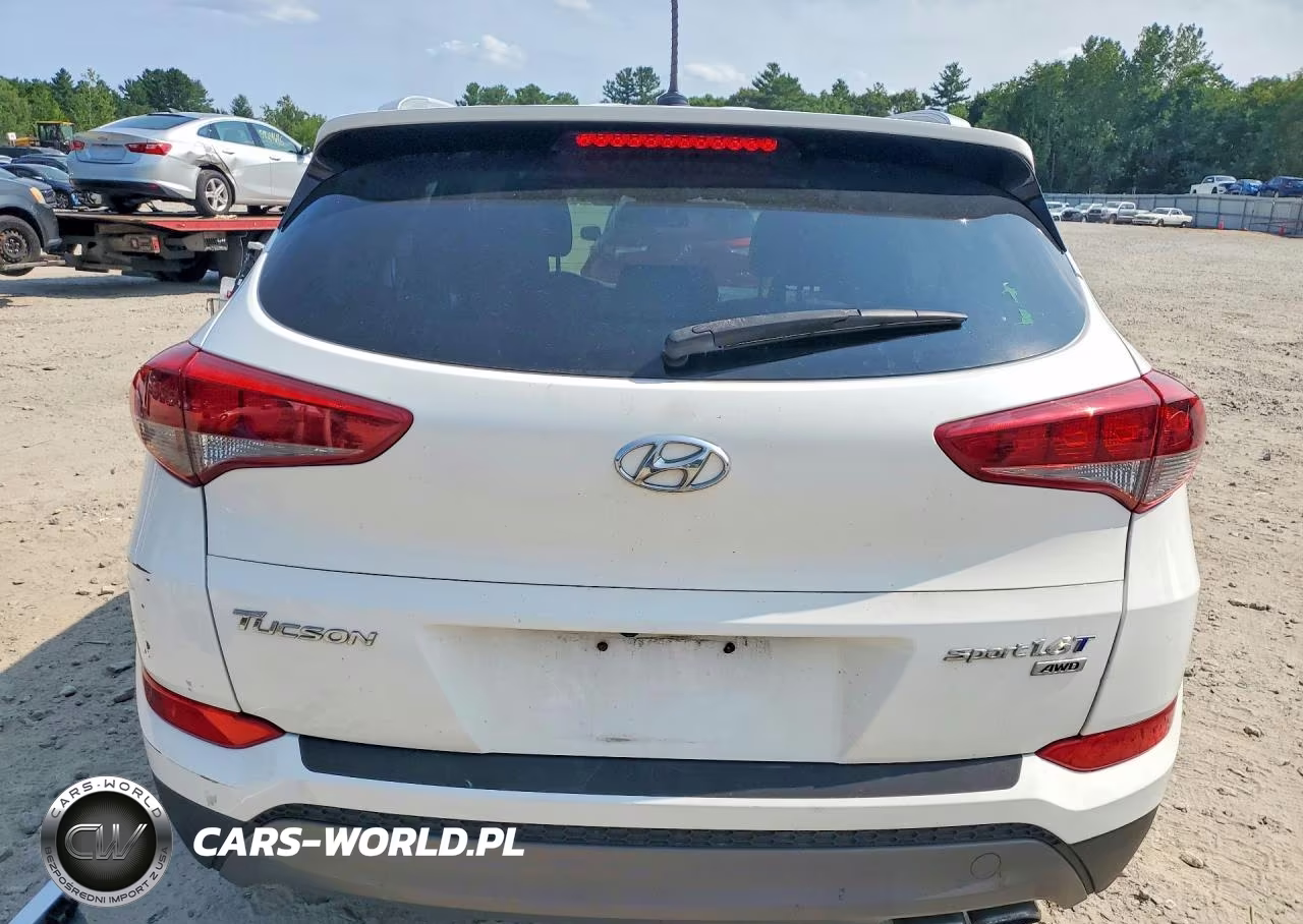 2016 Hyundai Tucson Sport VIN:KM8J3CA22GU043315 - 6