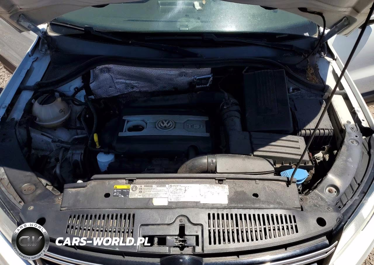 2015 Volkswagen Tiguan S VIN:WVGBV7AX2FW587687 - 12