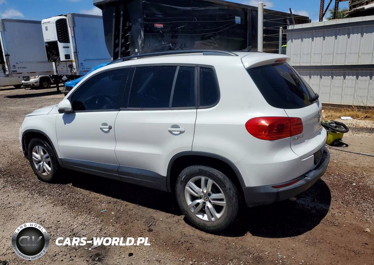 2015 Volkswagen Tiguan S VIN:WVGBV7AX2FW587687 - 2
