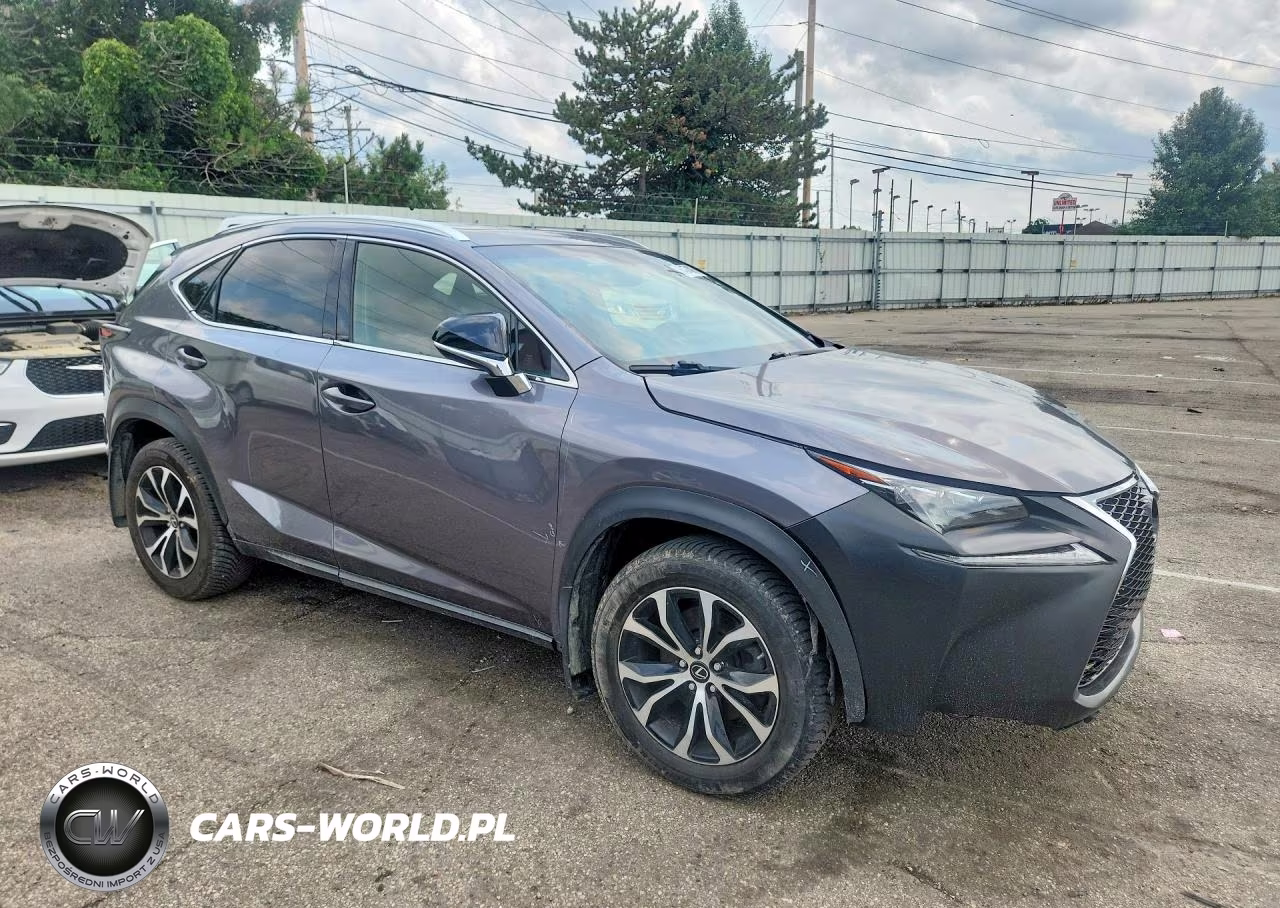 2016 Lexus Nx 200T F Sport VIN:JTJBARBZ0G2061656 - 4