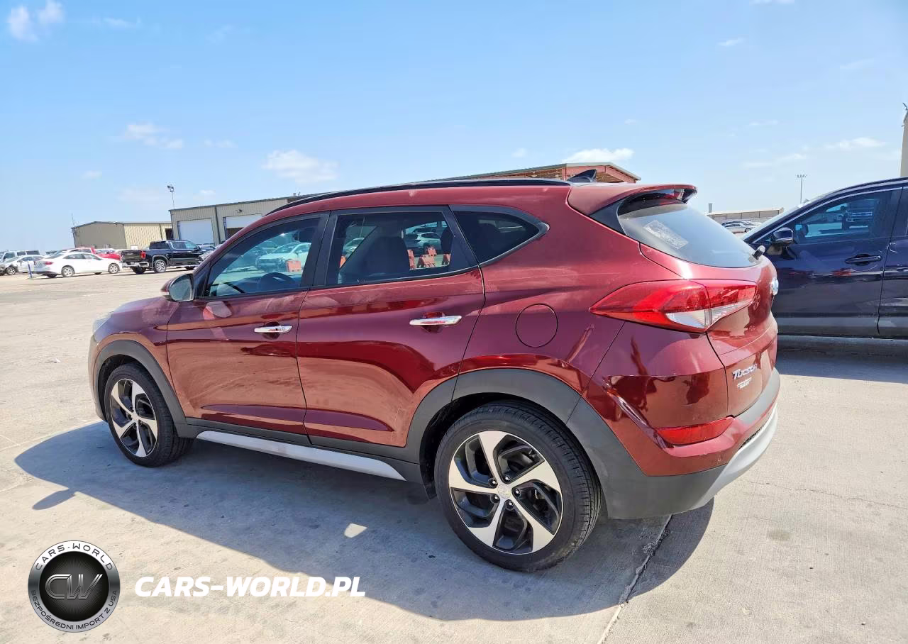 2018 Hyundai Tucson Limited VIN:KM8J33A23JU790607 - 2