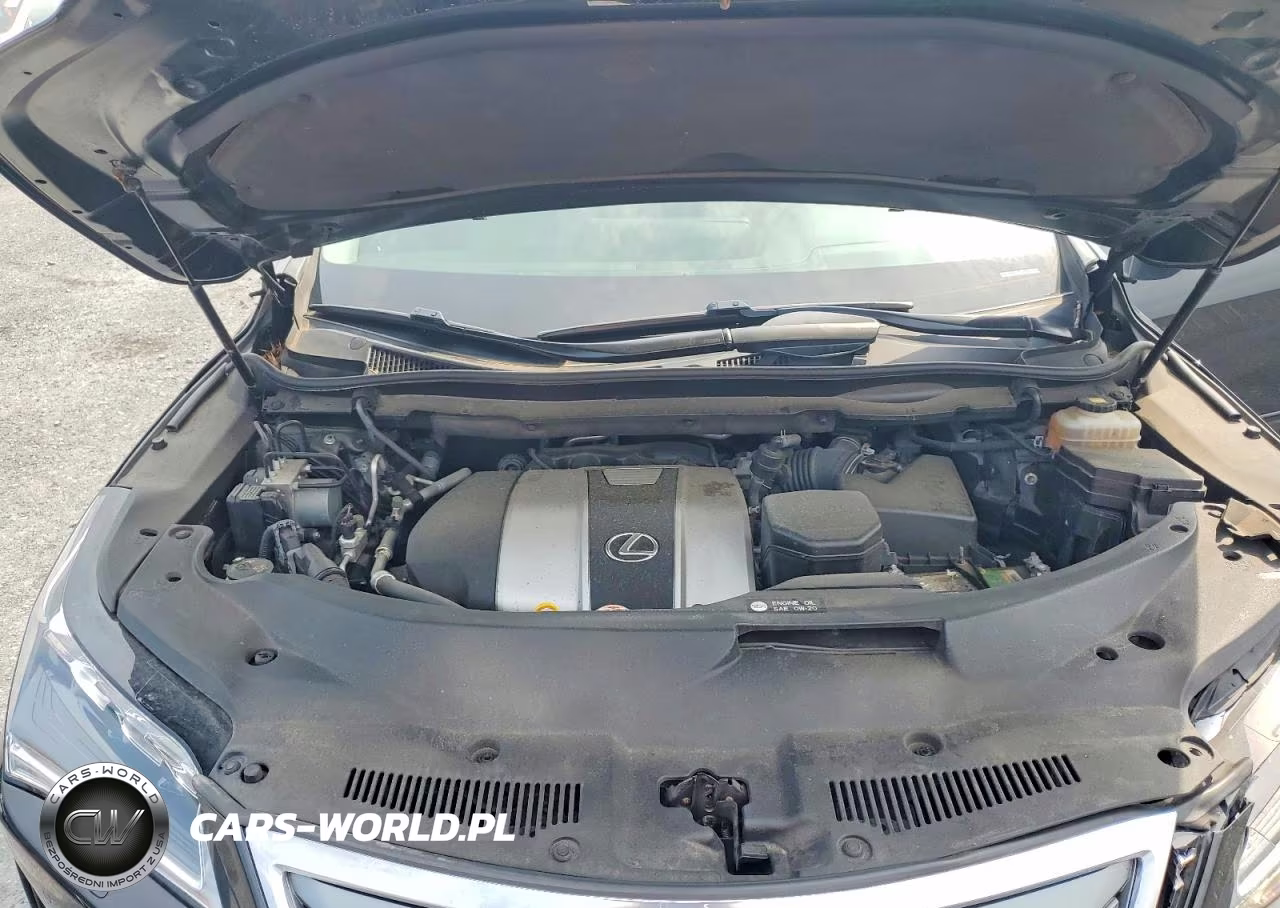 2019 Lexus Rx 350 L VIN:JTJDZKCA3K2015488 - 12