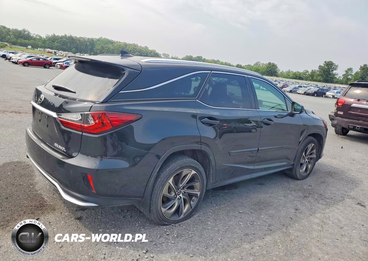 2019 Lexus Rx 350 L VIN:JTJDZKCA3K2015488 - 3