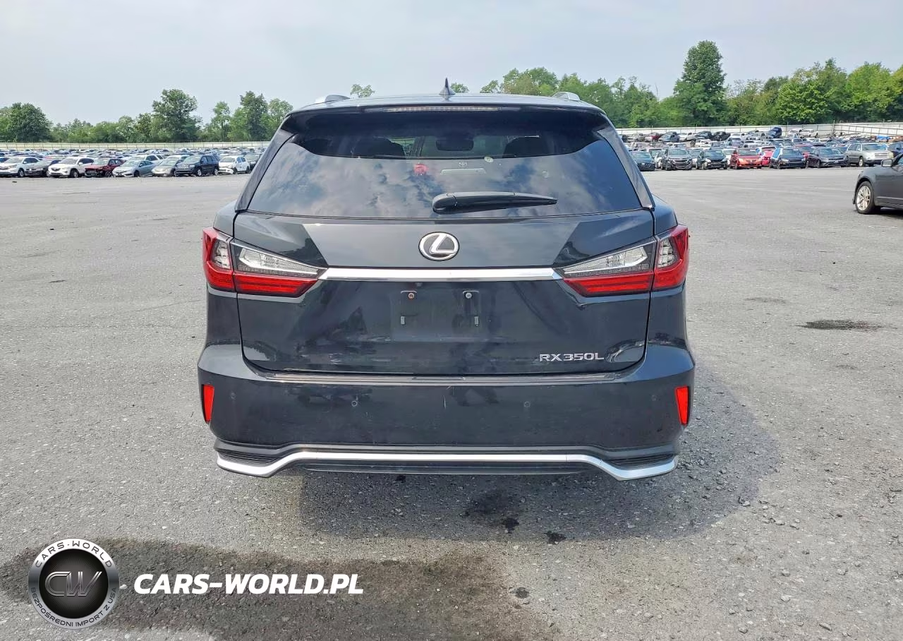 2019 Lexus Rx 350 L VIN:JTJDZKCA3K2015488 - 6