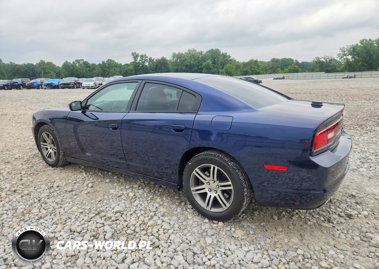 2013 Dodge Charger Police VIN:2C3CDXAT0DH693113 - 2