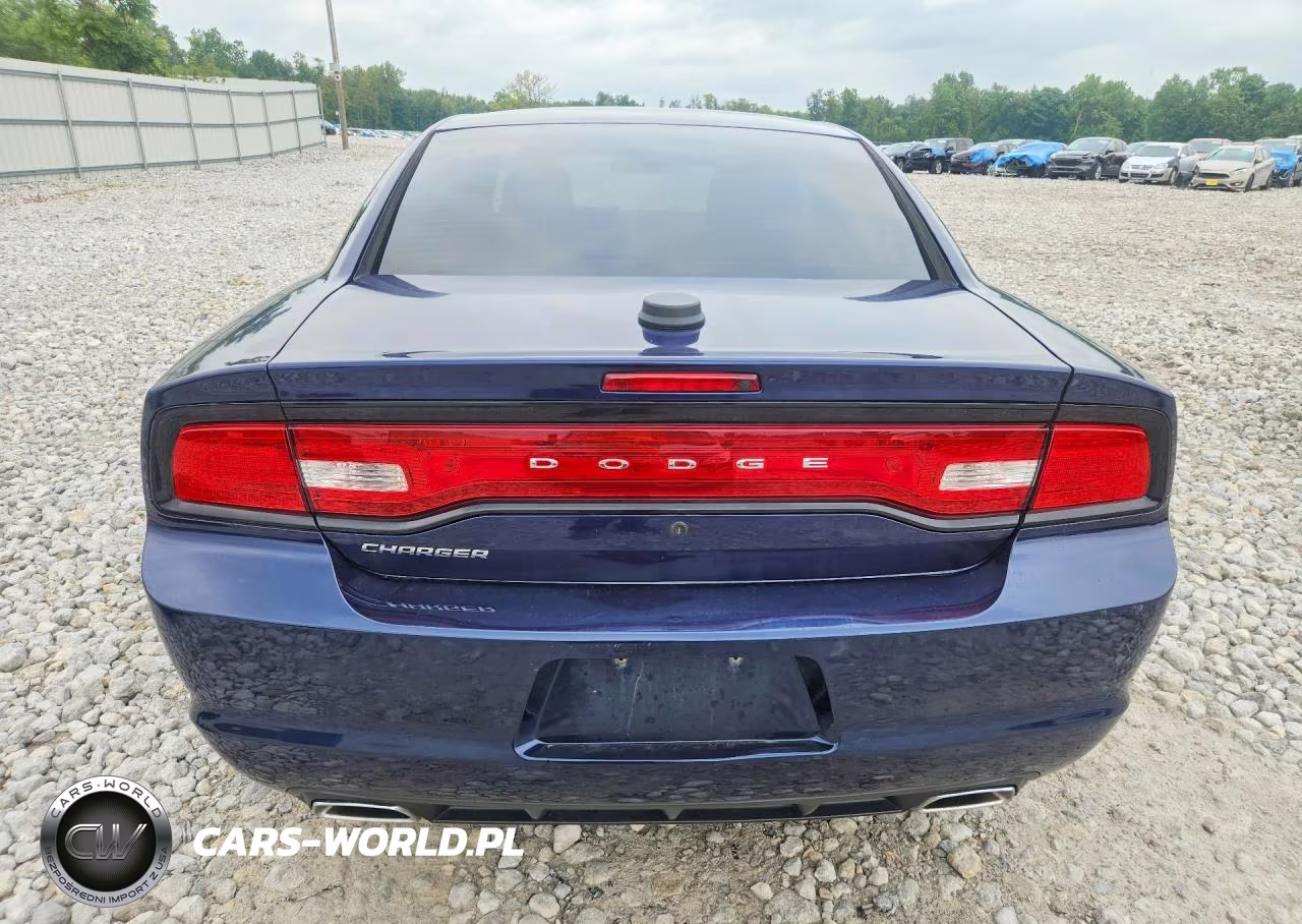 2013 Dodge Charger Police VIN:2C3CDXAT0DH693113 - 6