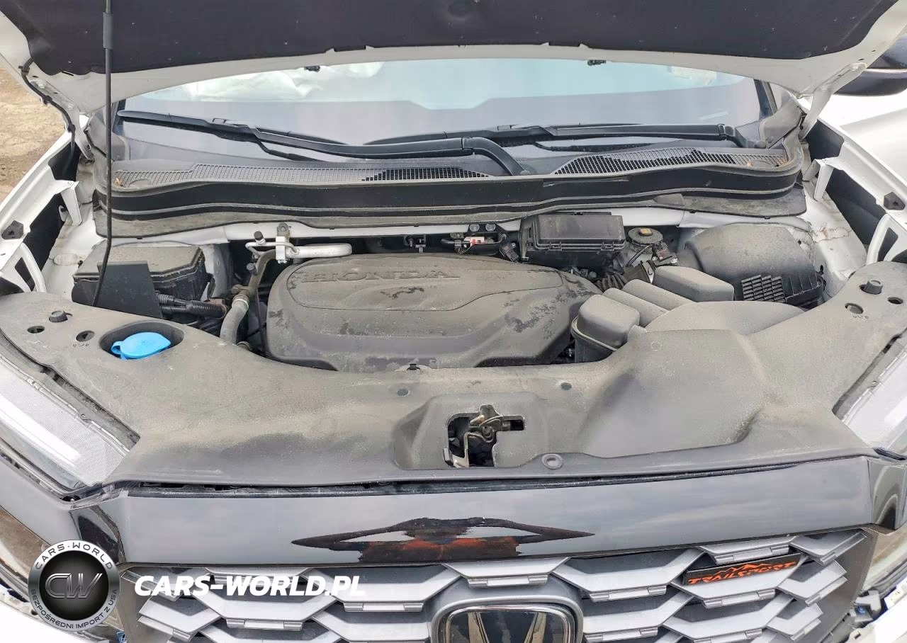 2023 Honda Passport Trail Sport VIN:5FNYF8H67PB044386 - 12