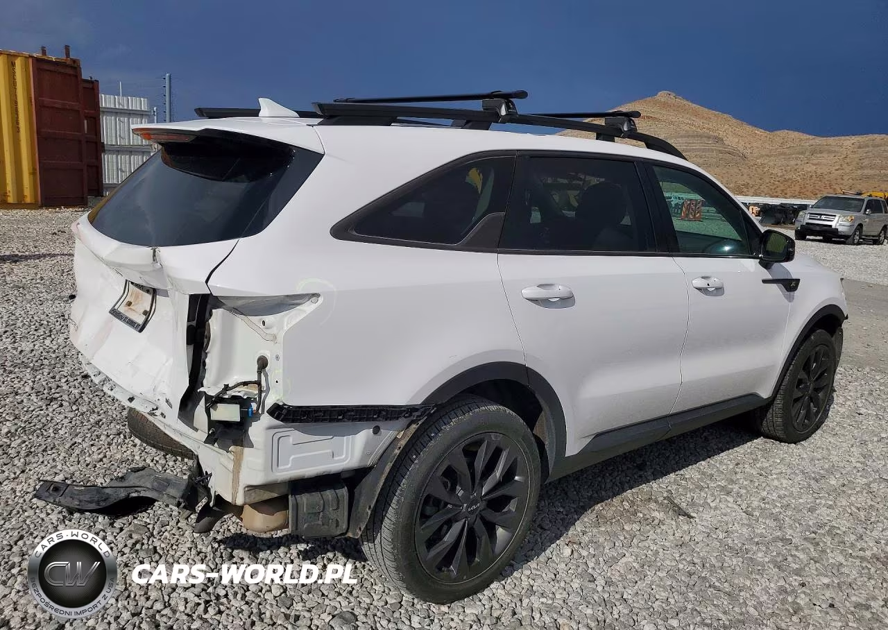 2023 Kia Sorento Ex VIN:5XYRHDLF9PG224055 - 3