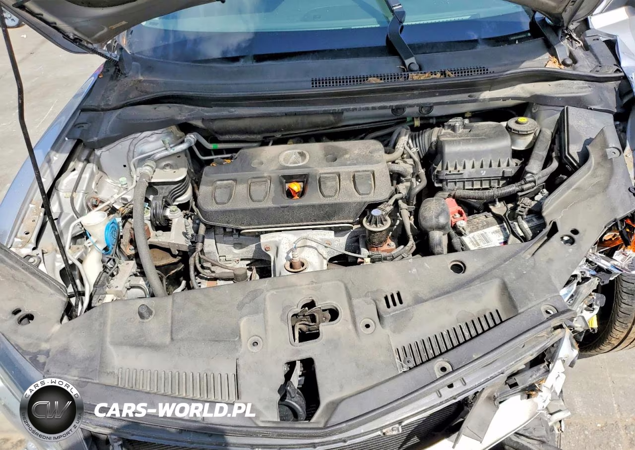 2014 Acura Ilx 20 VIN:19VDE1F31EE006441 - 11