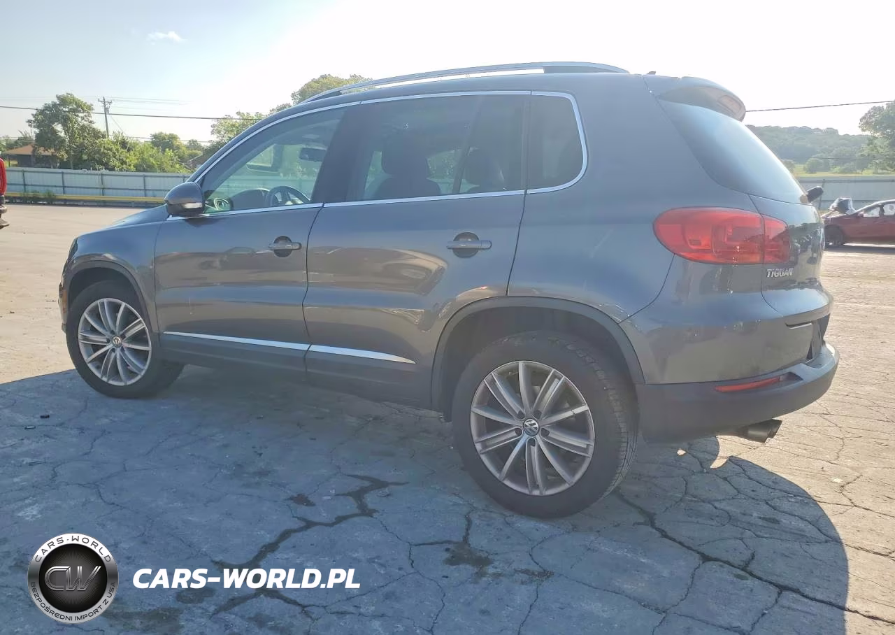 2015 Volkswagen Tiguan S VIN:WVGAV7AX7FW503701 - 2