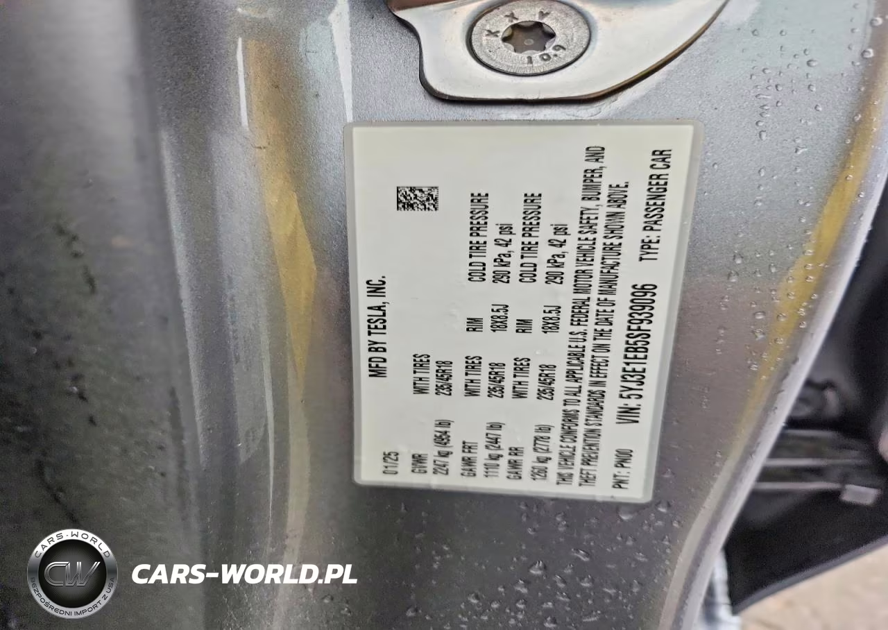 2025 Tesla Model 3 VIN:5YJ3E1EB5SF939096 - 12