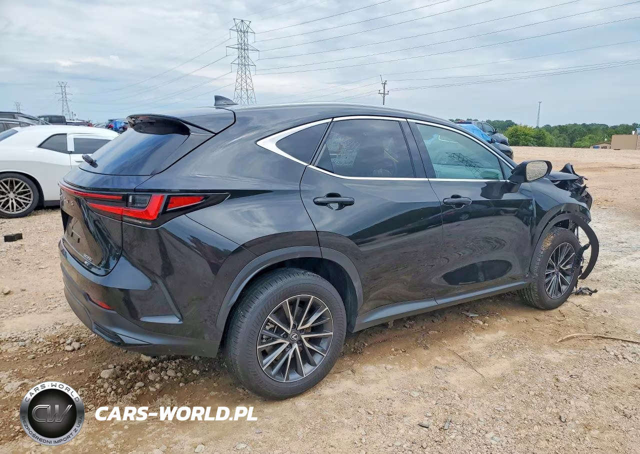 2025 Lexus Nx 350 Base VIN:2T2AGCEZ1SC092698 - 3