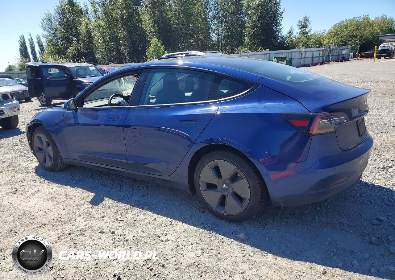 2021 Tesla Model 3 VIN:5YJ3E1EAXMF022858 - 2