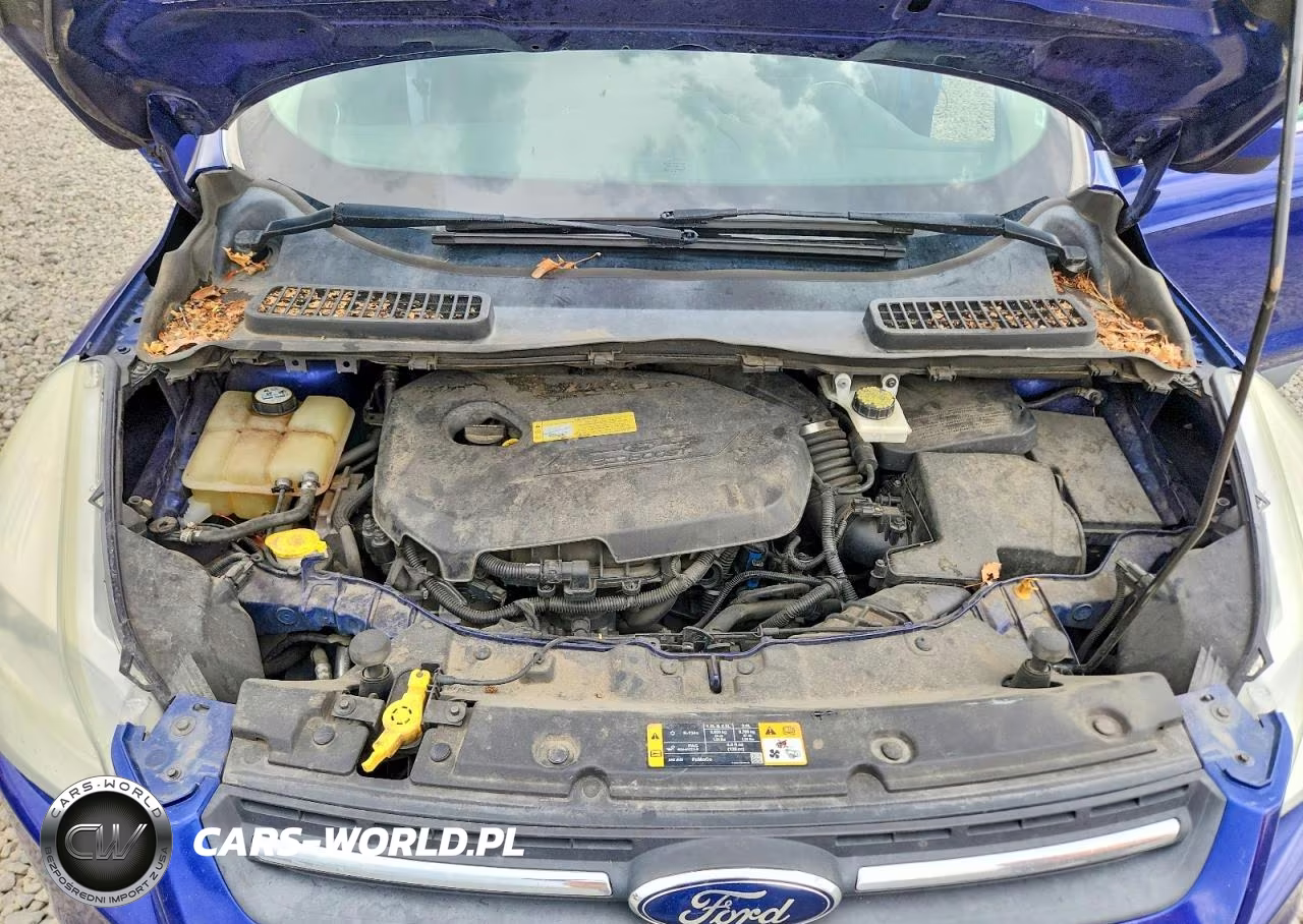 2013 Ford Escape Se VIN:1FMCU9GXXDUA91989 - 12