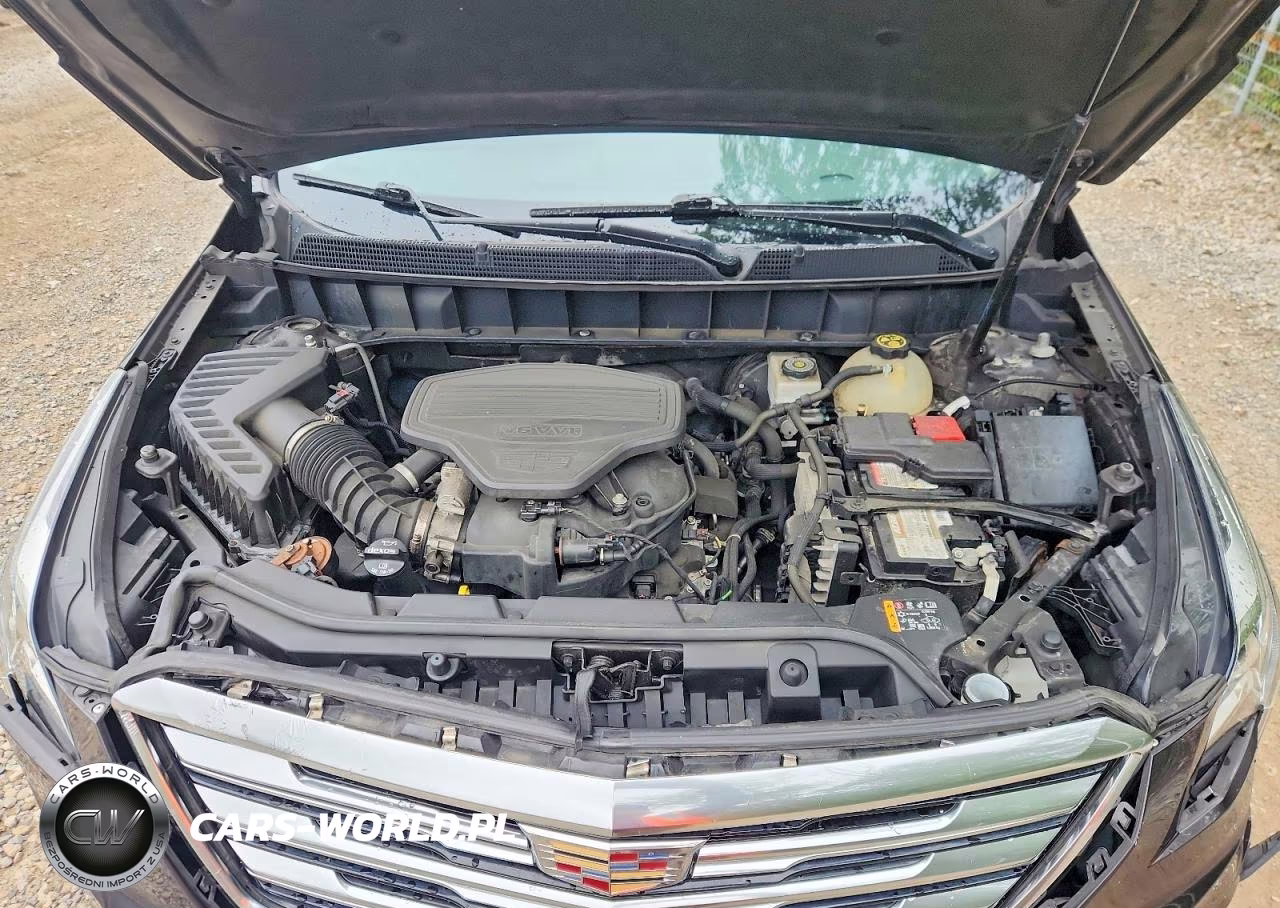 2019 Cadillac Xt5 Luxury VIN:1GYKNCRSXKZ155793 - 12