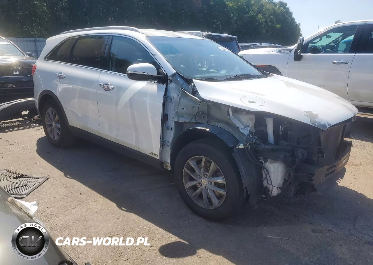 2016 Kia Sorento Lx VIN:5XYPGDA35GG168859 - 4