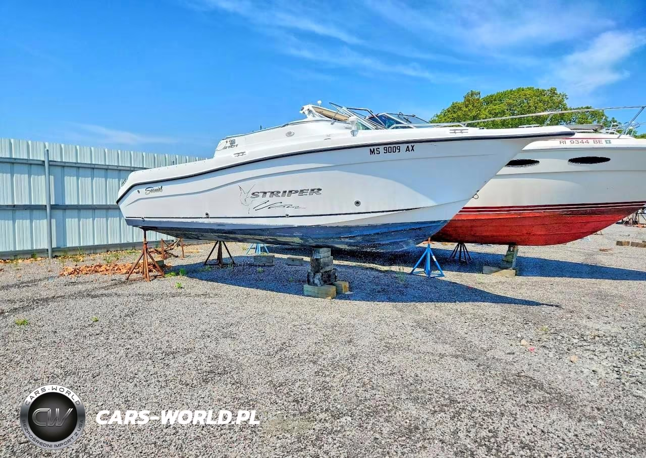2004 Seaswirl Boat