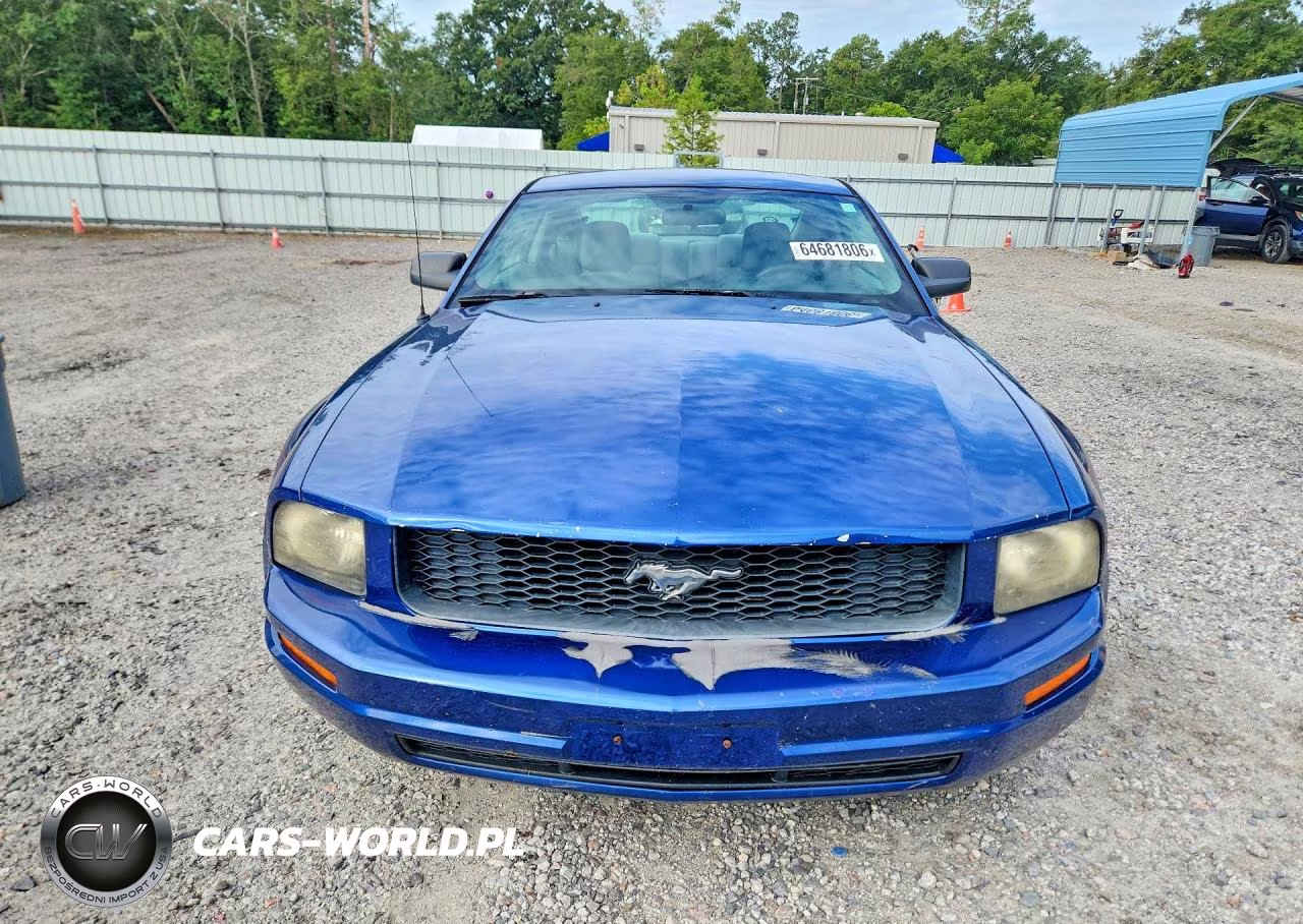 2008 Ford Mustang VIN:1ZVHT80N085150089 - 5