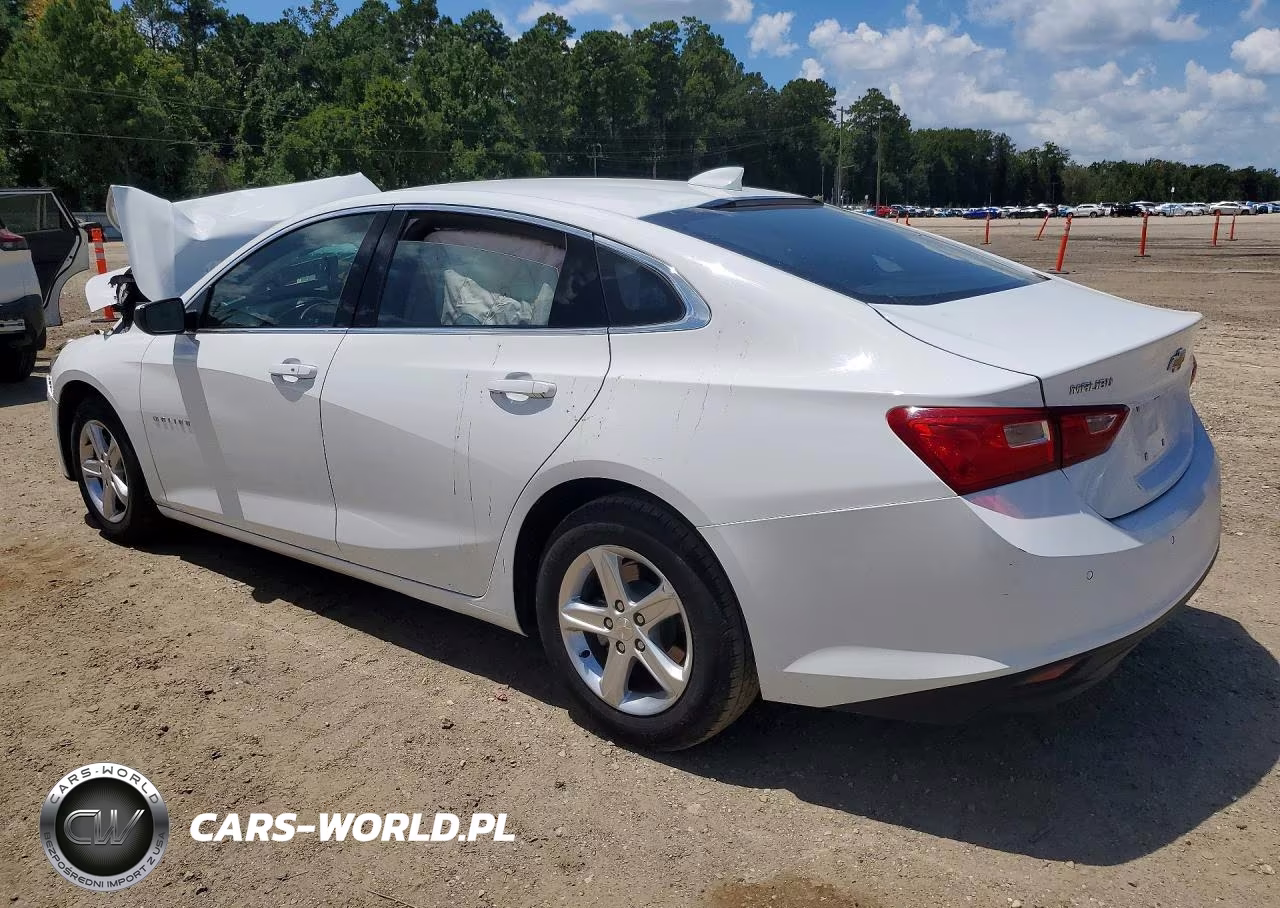 2024 Chevrolet Malibu Lt VIN:1G1ZD5ST3RF149943 - 2