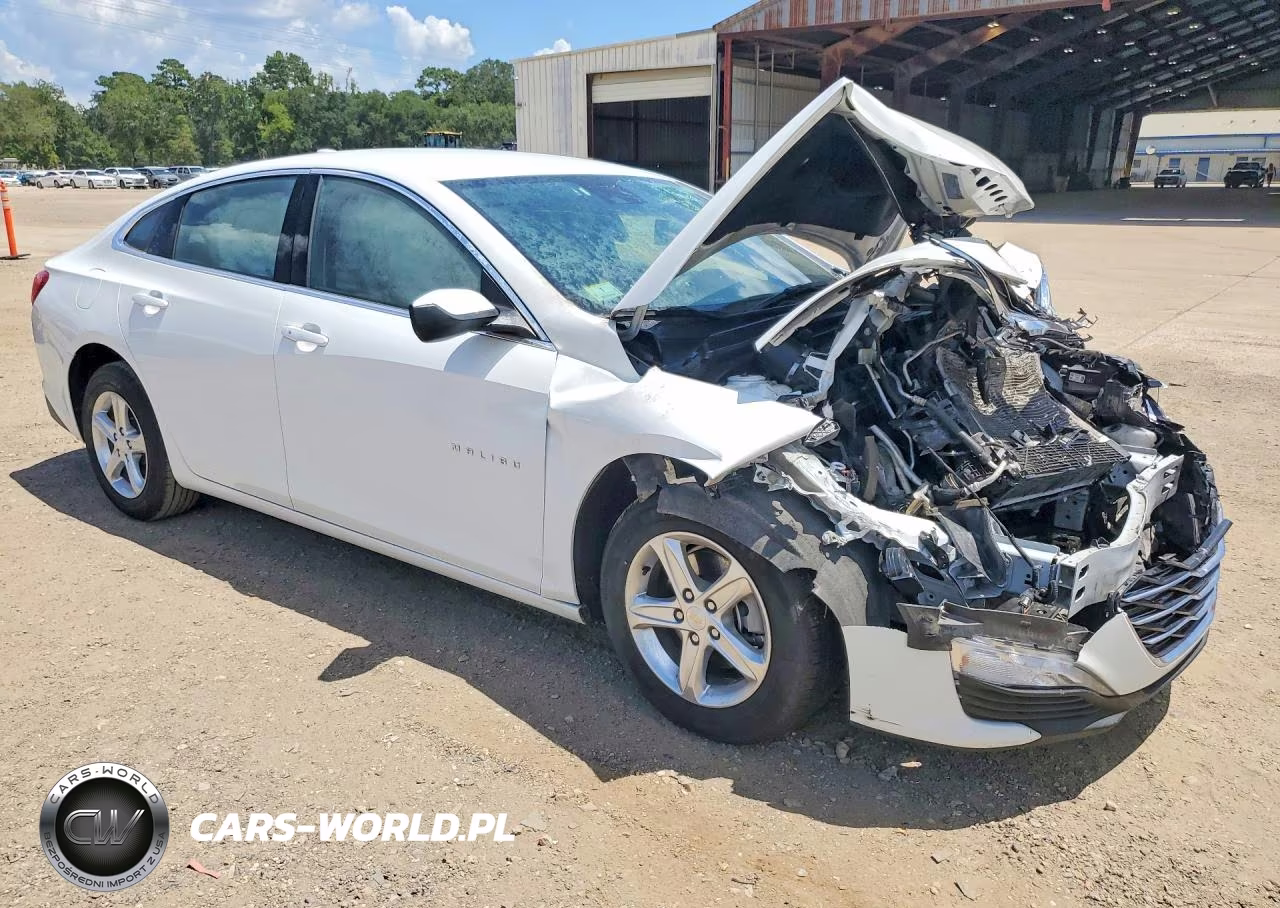 2024 Chevrolet Malibu Lt VIN:1G1ZD5ST3RF149943 - 4