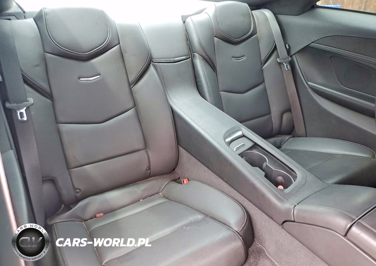 2014 Cadillac Elr Luxury VIN:1G6RR1E44EU601140 - 10