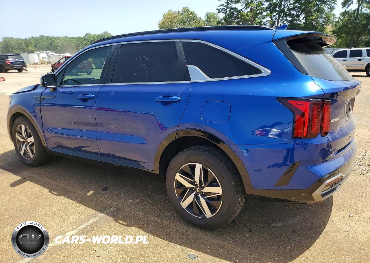 2021 Kia Sorento S VIN:5XYRL4LC4MG048628 - 2