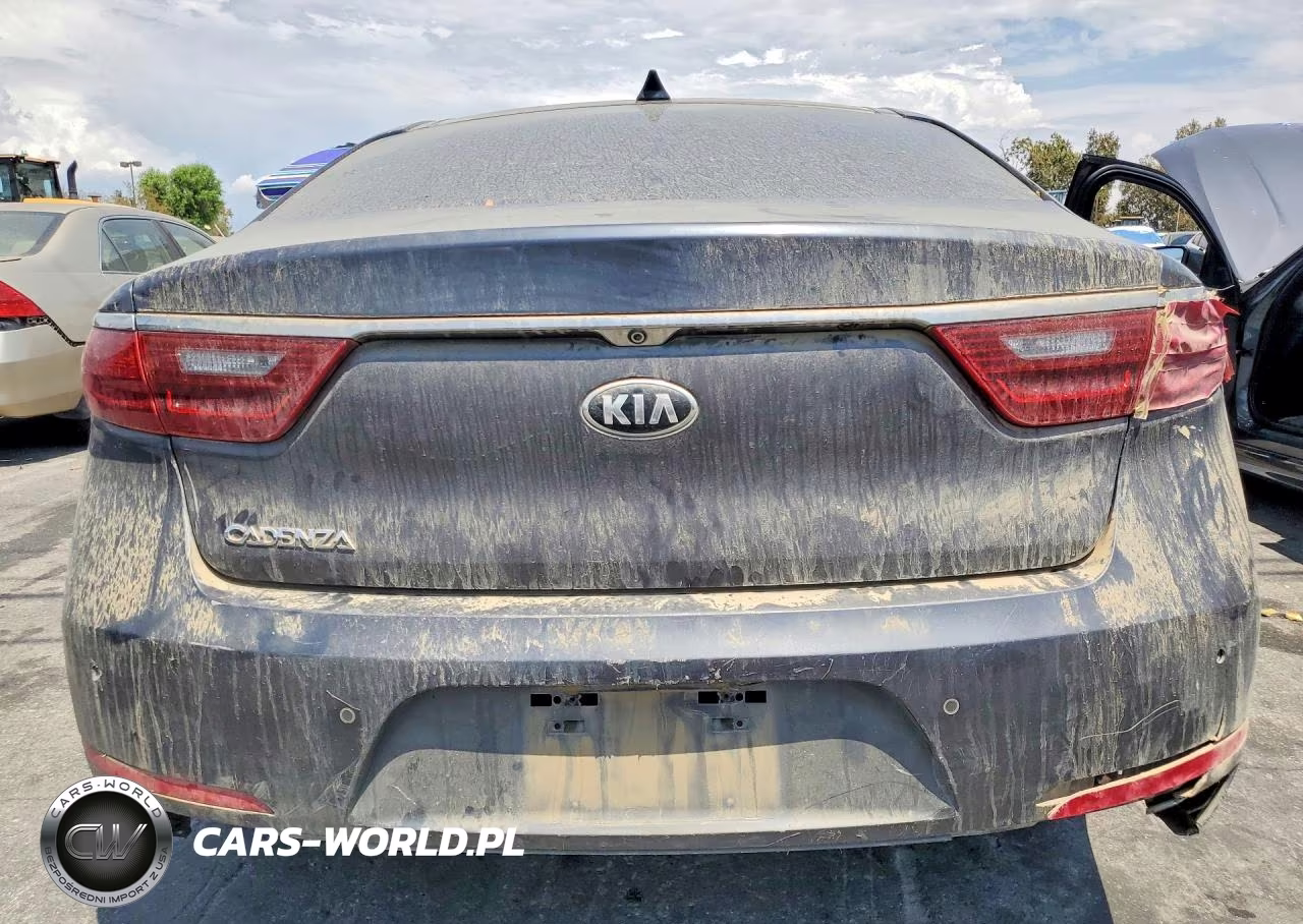2017 Kia Cadenza Technology VIN:KNALC4J19H5091848 - 6
