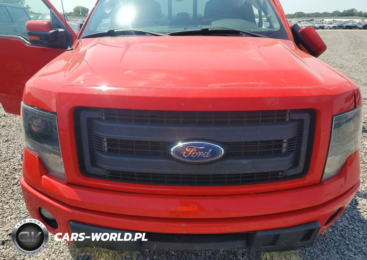 2013 Ford F150 Supercrew VIN:1FTFW1ET9DKG49131 - 11