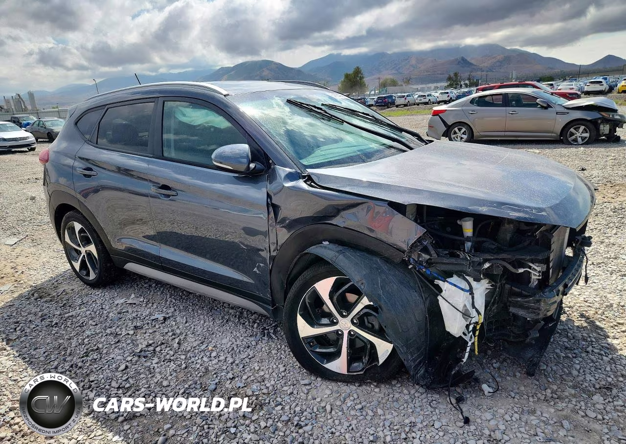 2017 Hyundai Tucson Sport VIN:KM8J3CA23HU489927 - 4