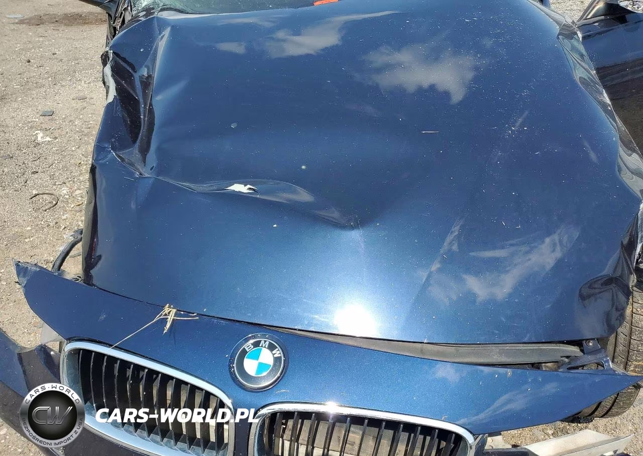 2013 BMW 328 Xi Sulev VIN:WBA3B5G50DNS00887 - 11
